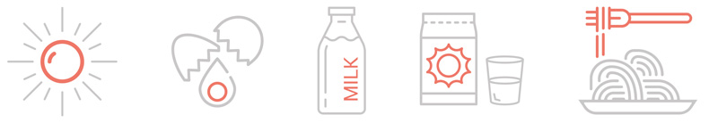 Nutritional cognitive neuroscience - nutrition and rehabilitation